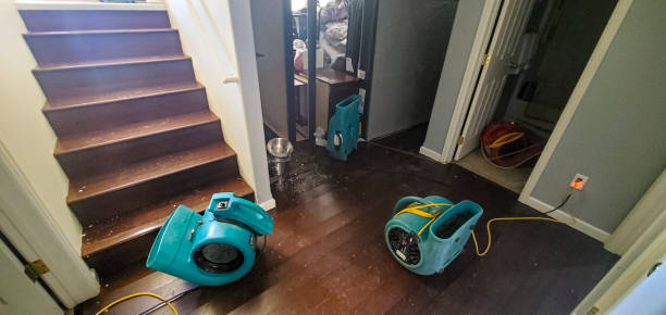 Carpet water damage restoration in Yountville, CA