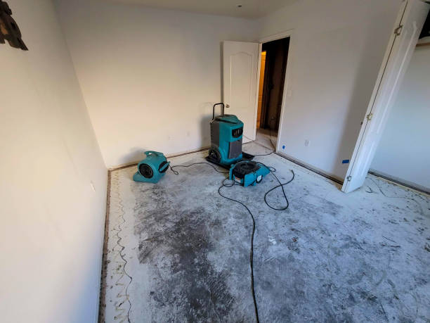 Best Flooded house restoration  in Yountville, CA