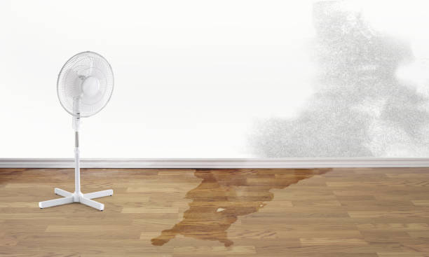 Best Water damage contractors near me  in Yountville, CA