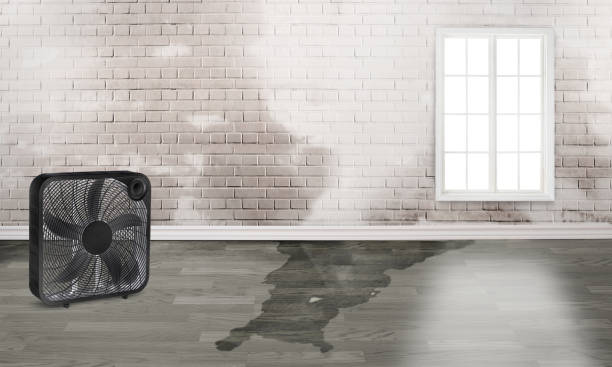 Best Water damage restoration mold remediation  in Yountville, CA