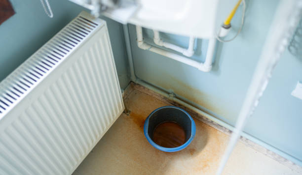 Best Flood damage cleanup  in Yountville, CA
